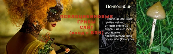 героин Алзамай