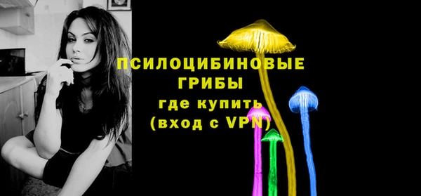 apvp Алексин